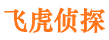 昂仁市调查公司